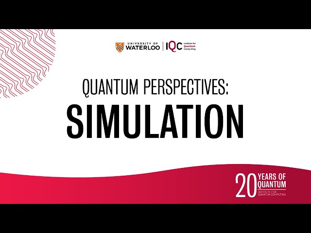 Quantum Perspectives: Simulation