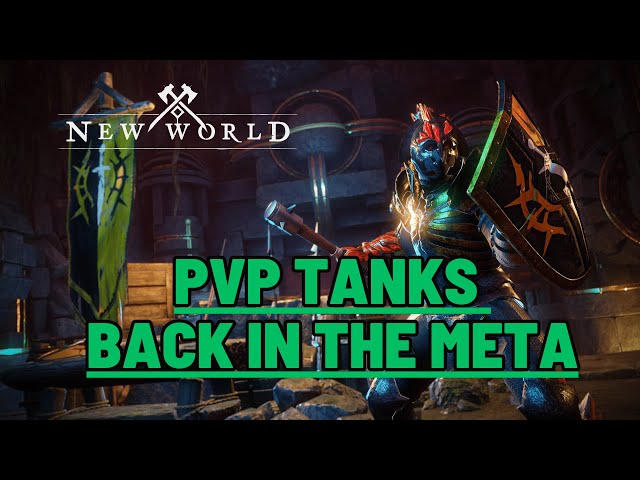 PVP Tanks are BACK! SNS Mega Guide + Offhand Choices New World PVP Meta