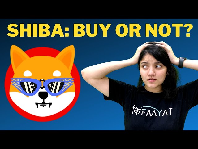 Shiba Inu Coin Truth Revealed | We ALL were WRONG about Shiba INU