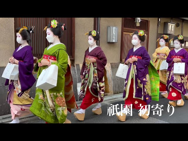京都 祇園 舞妓さんの花かんざしとおこぼ 「初寄り」Maiko in Gion 【4K】