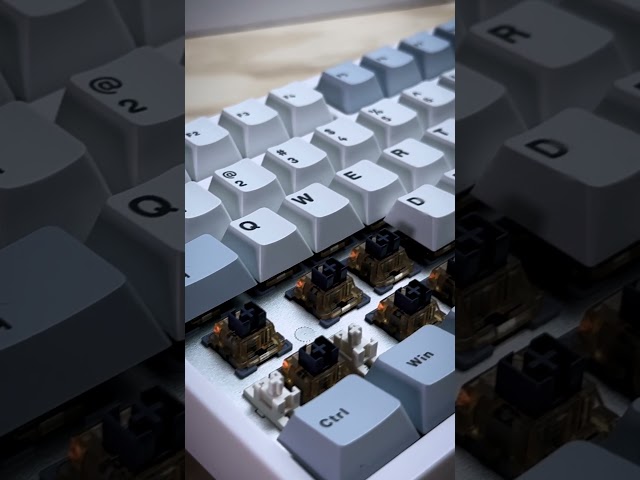 Gamakay TK75 HE Hall Effect Keyboard Sound Test | Magnetic switches!