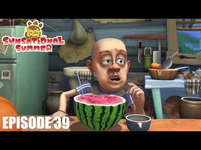 Boonie Bears Sunsational Summer | EP 39 | Watermelon Competition | Cartoon for kids