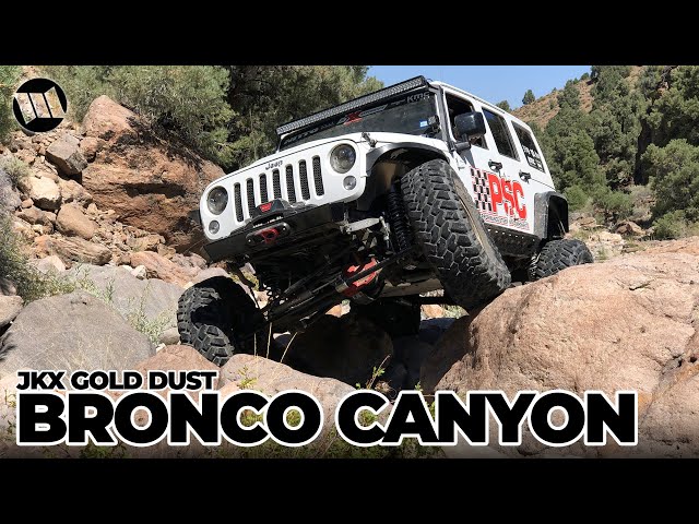 JK Experience GOLD DUST: BRONCO CANYON Shakedown Jeep Wrangler Off Road Adventure NITTO JKX Part 1