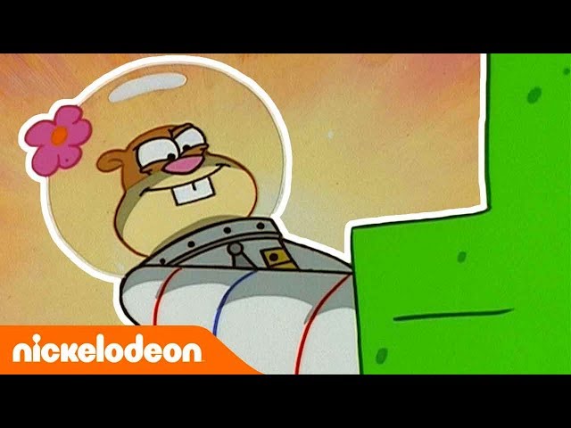 SpongeBob Kanciastoporty | Sandy na ratunek! | Nickelodeon Polska