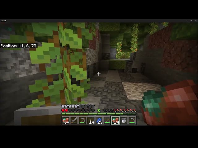 Dead In The Caves - Minecraft Survival With @kristicardinal7522