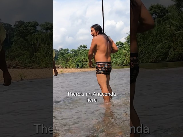 Life in the Amazon Jungle 🐛