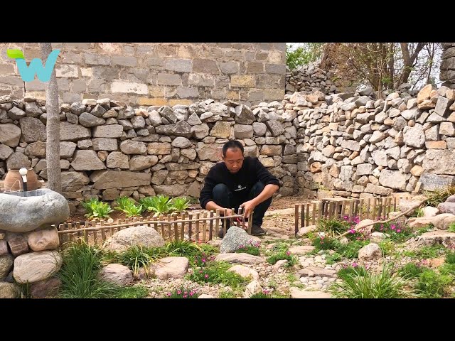 The man builds and renovates a house with stone Part5 | Growing vegetables in the beautiful garden