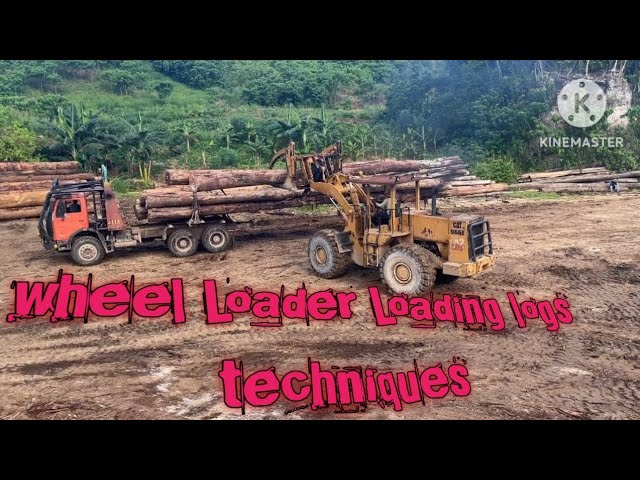 Amazing skill operator wheel Loader loading logs on logging truk