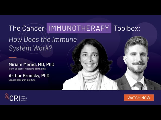 The Cancer Immunotherapy Toolbox: How Does the Immune System Work, with Miriam Merad, MD, PhD