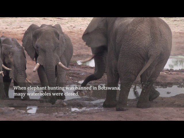 Water For Elephants Trust Fundraising Campaign