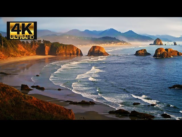 OREGON COAST | EPIC Drone Fly By Footage in 4K
