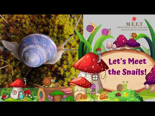 Let's Learn About Snails! | online preschool educational video for kids