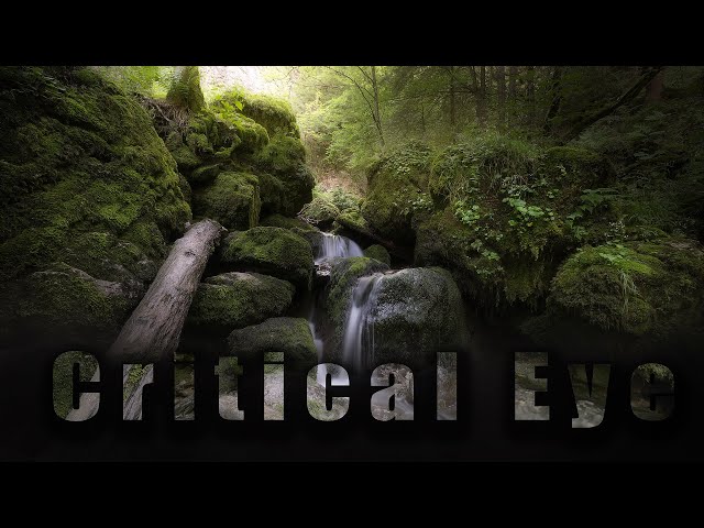 Critiquing your Images // Developing your Critical Eye
