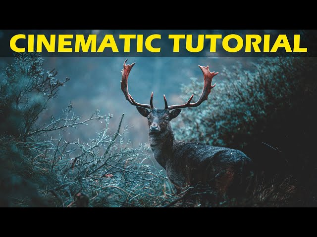 How I Create Cinematic 3D Films with Unreal Engine 5 - CINEMATIC WORKFLOW!