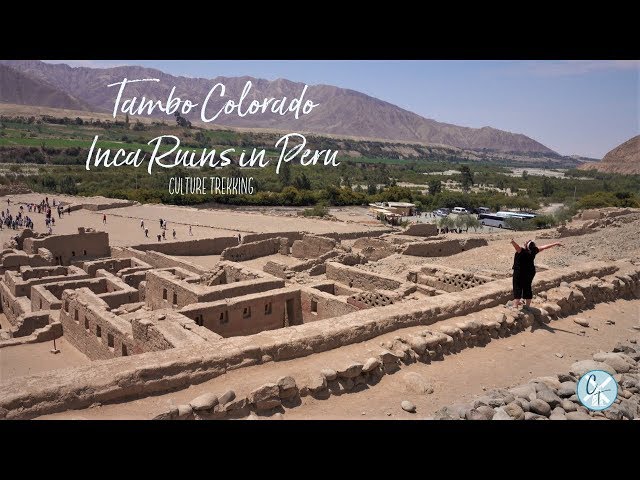 Pisco Peru : See Tambo Colorado, Flamingos, and Eat Delicious Fruit