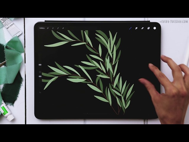 3 Eucalyptus Types Anyone Can Draw in Procreate