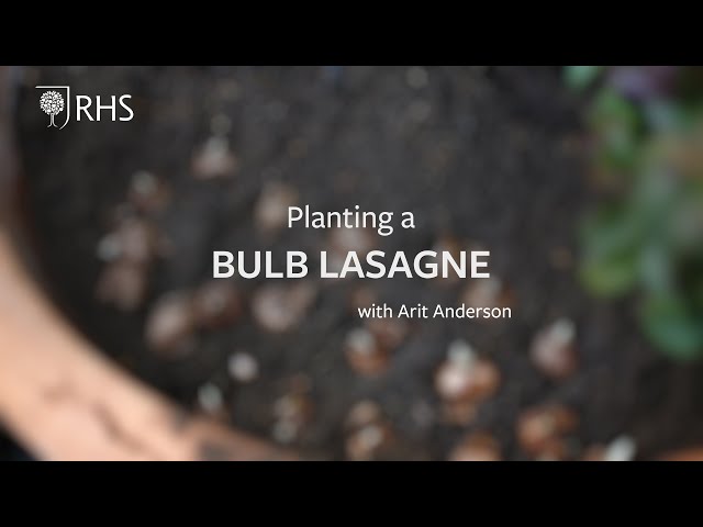 How to plant a bulb lasagne with Arit Anderson | Grow at Home | RHS