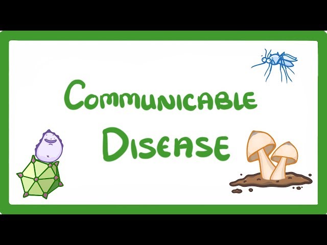 GCSE Biology - Communicable Disease  #34