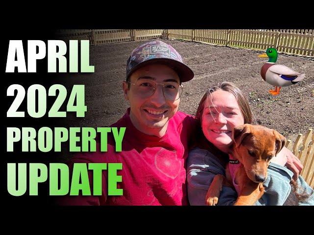 2024 April Property Update (Puppy, Garden, Tree Web)