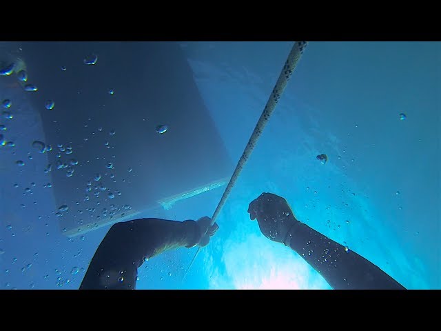 Apnea - A Waterlust Film about Freediving the World's Deepest Blue Hole