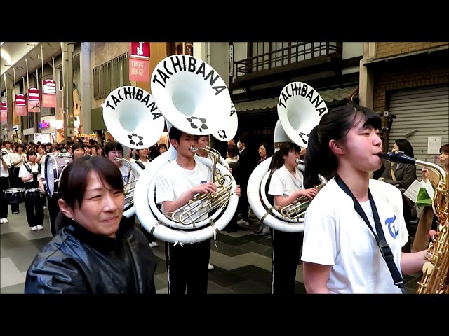 Kyoto Tachibana  S.H.S さくらパレード2019 街頭パレード