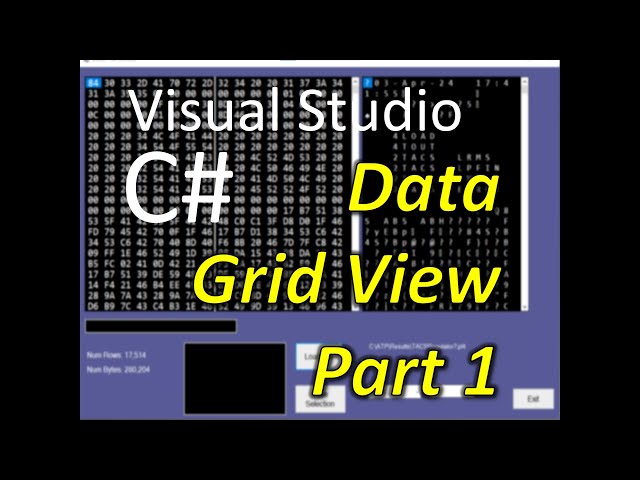 C# Visual Studio DataGridView Part 1: Introduction