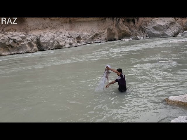 How nomadic people catch fish in the heart of the river#iran#nomadic#difficult#raz