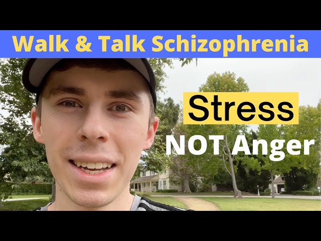 Schizophrenia Stress Is Not Anger