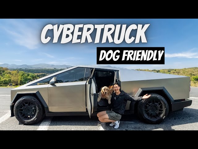 Making Your Tesla Cybertruck Dog-proof!