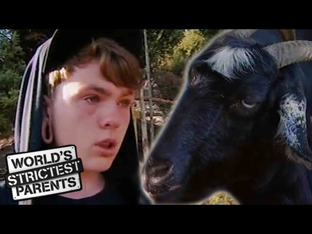 Goat Makes Teen Cry! | World's Strictest Parents