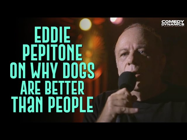 Eddie Pepitone On Why Dogs Are Better Than People