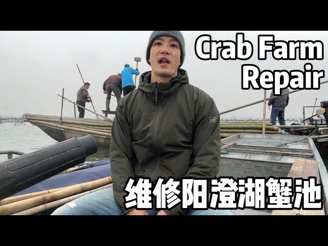 A Year in Life of Chinese Mitten Crab Farmers: Day 1, Fence Repair on Yangcheng Lake