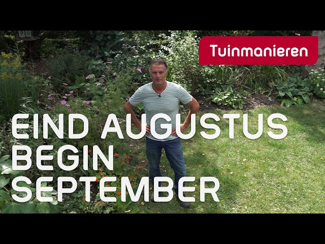 Wat te doen einde augustus, begin september | Zomer | Tuinmanieren