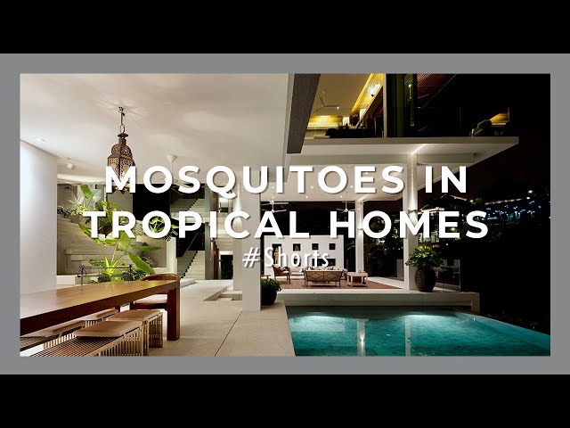 Reply to the Mosquitoes Topic for the Crazy Rich Asians Home |Belanda House |Tropical living #shorts