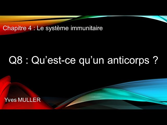Chap 4 : Le système immunitaire - Q8 : Qu'est-ce qu'un anticorps ?