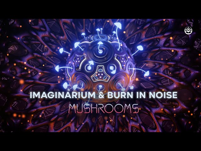Imaginarium & Burn in Noise - Mushrooms