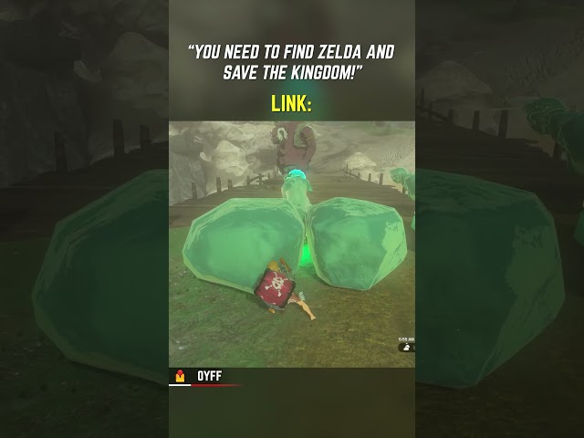 Link is too busy to save the princess...