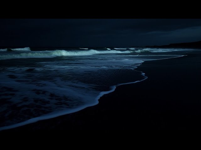 Blissful Ocean Waves for Restorative Sleep | Meditative Sea Sounds for Serenity | White Noise