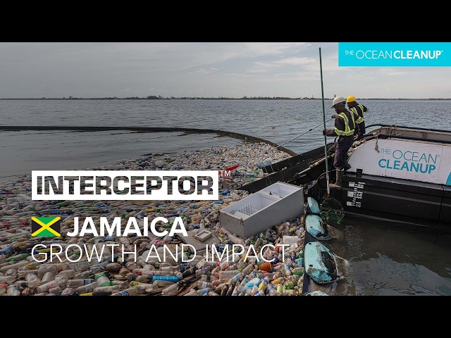 The Impact of Interceptors Deployed in All 7 of Kingston Harbour Gullies