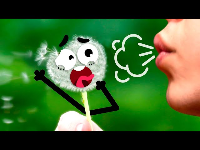 Types Of Doodles || Funny Guys Are Having Fun Every Day - #Doodland