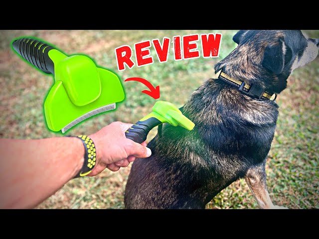 Pet Grooming Brush for Dogs and Cats Amazon - Review