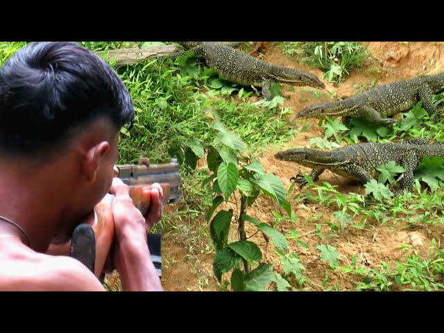 BERBURU BIAWAK BESAR‼️1 day adventure hunting lots of wild lizards