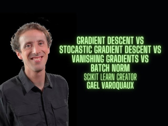 Gradient Descent vs Stochastic Gradient Descent vs Batch Norm - Gael Varoquaux ScikitLearn creator