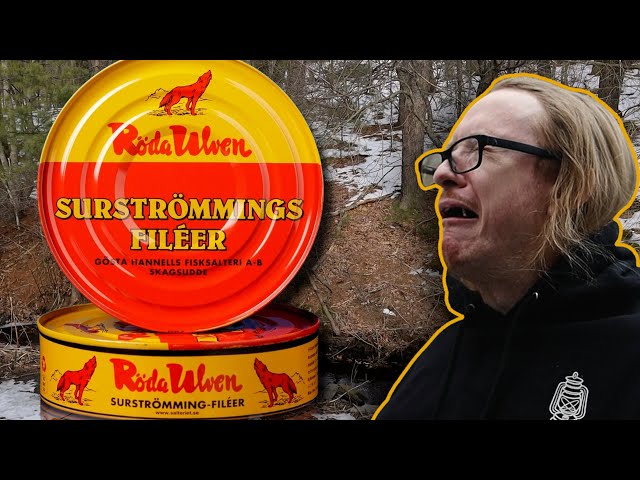 Röda Ulven Surströmming - Fermented Baltic Herring. | Let's 'Dine About it! #14