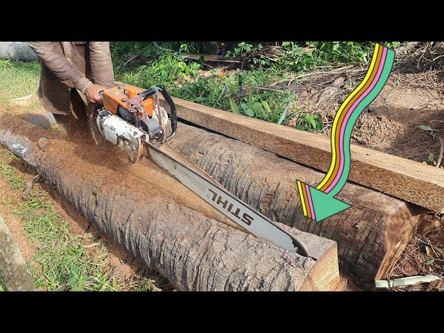 13 Minutes Wood Cutting Machine Chainsaw STIHL MS070 Sawing Palm Tree