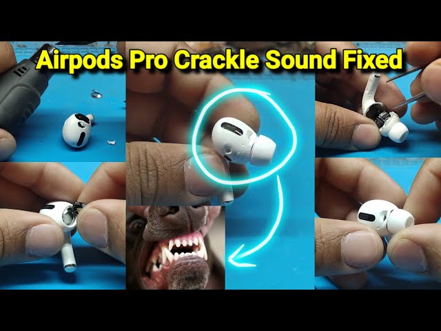 Damaged Apple Airpods Pro Crackle Sound Fixed | Dog Bitten