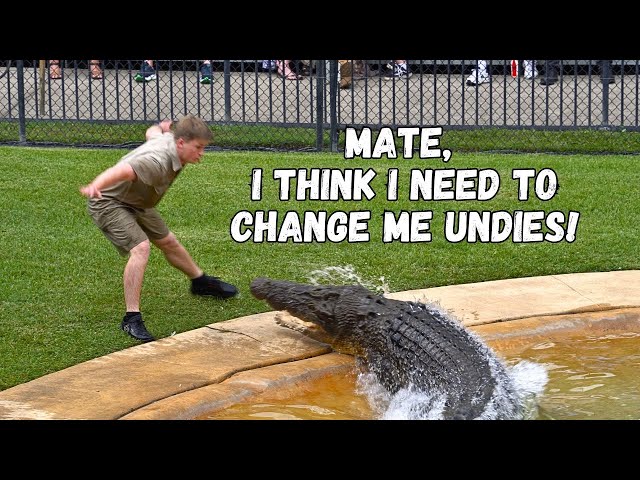 Never let your guard down near a croc | Robert Iwin | Australia Zoo