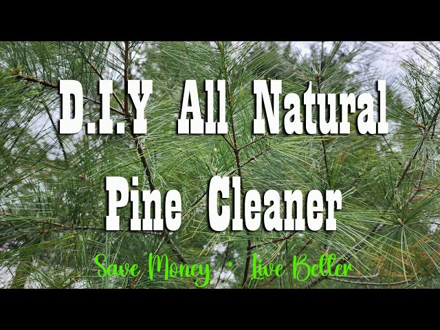 DIY All Natural Pine Cleaner ~ Save Money ~ Live Better