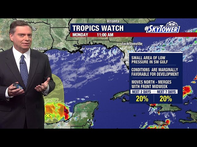 Gulf system unlikely to become tropical