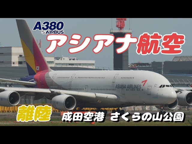 【4K】成田空港 さくらの山公園 アシアナ航空 エアーバスA380 ソールへ離陸